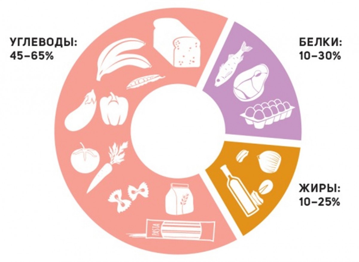 Белки, жиры, углеводы: баланс для здоровья