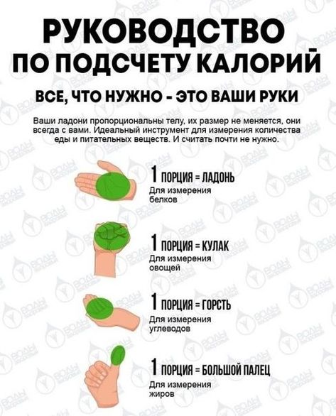 Основы подсчета калорий: с чего начать